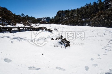 雪原上的足迹