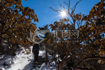 轿子雪山风光