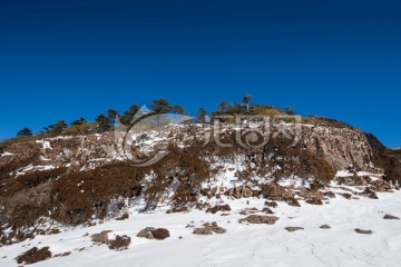 轿子雪山风光