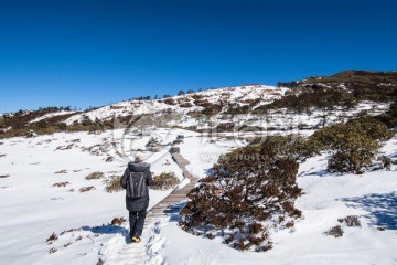 轿子雪山风光