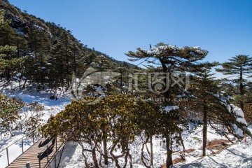 花溪栈桥冬季景观