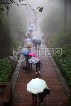 雨雾中登齐云山