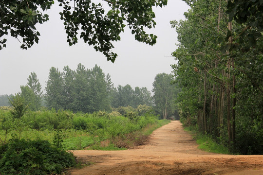 乡村道路