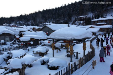 双峰林场 雪景 白雪