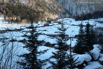 雪乡 山 松树