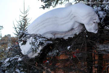 林海雪原 雪乡 山 松树