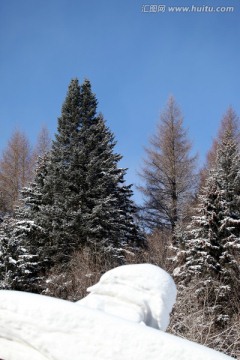 林海雪原 雪乡