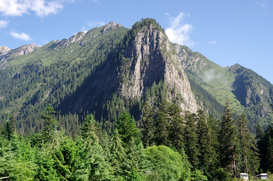 九寨沟高山森林植被