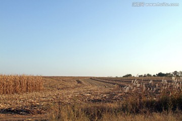 秋日收获之后的田野