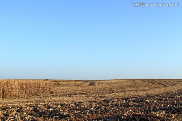 秋收之后的田野