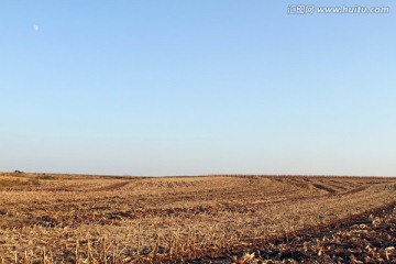 秋日收获之后的田野