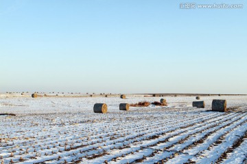 冰雪田野 秸秆 大草卷