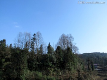 风景