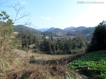 风景