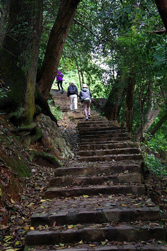 湖南 岳麓山 石台阶 石板路