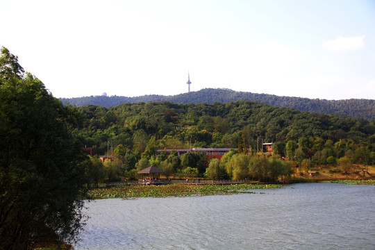 长沙 电视塔 信号塔 岳麓山