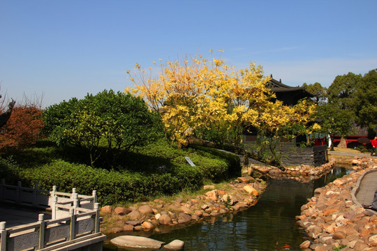 中式 园林 水景