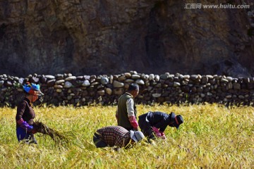 藏区 藏族同胞
