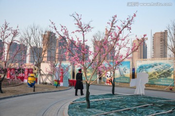 樱花树桃花树