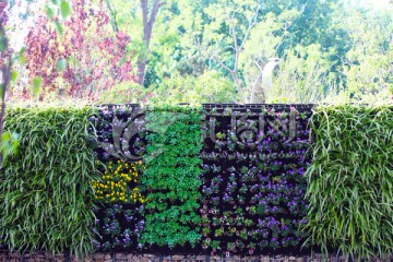 植物墙 背景墙