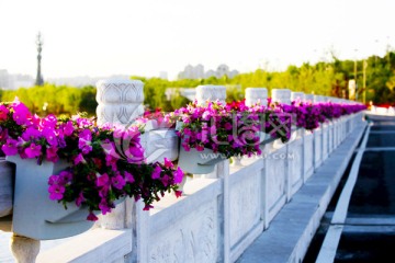 桥栏栅 花盆 花蓝 装饰花