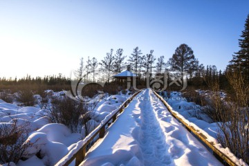 冬季雪景