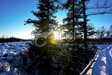 冬季雪景