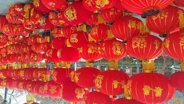 灯笼