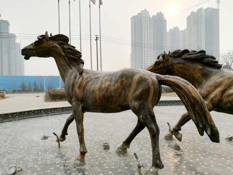 马雕塑 铜马雕像