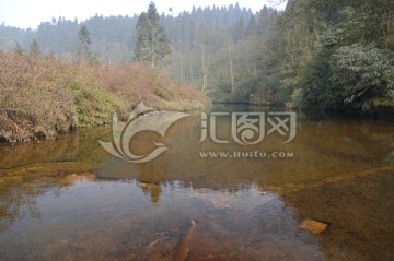 自然风光 小河溪流 清澈山溪水