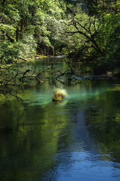 九寨沟森林湿地湖泊