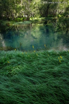 九寨沟高山森林草地植被湿地沼泽