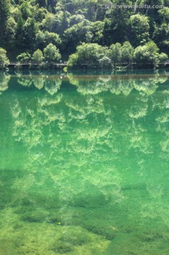 九寨沟森林湖泊树木倒影