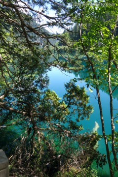 九寨沟高山湖泊森林树木