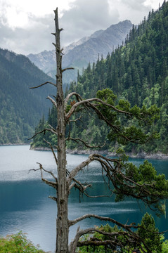 高山湖泊天池