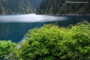 九寨沟高山湖泊森林树木