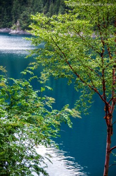 九寨沟森林树木绿树清澈湖泊湖水