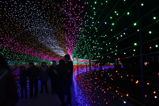 灯展