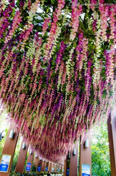 花廊
