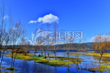 丽江 拉市海 湿地 垂钓