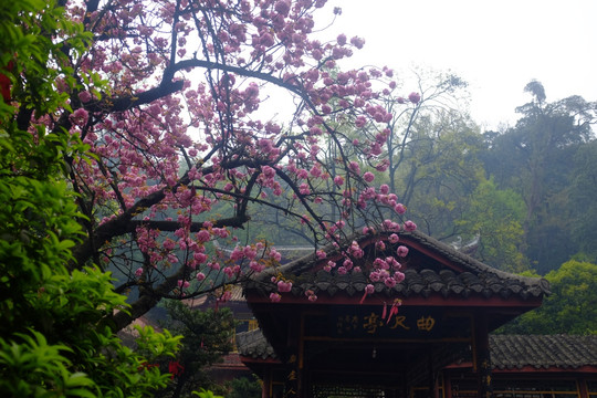古建筑