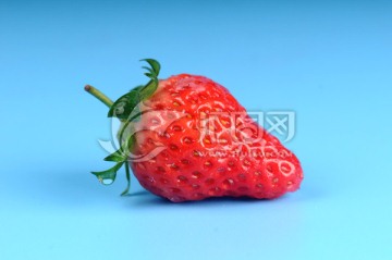 草莓