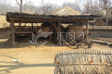 韩国民俗村 牛棚黄牛和牛车