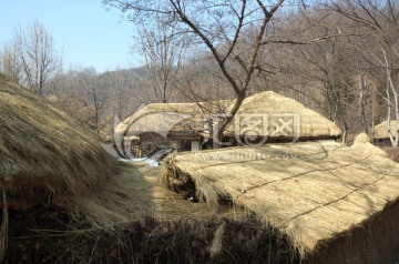 韩国民俗村 农户茅草房
