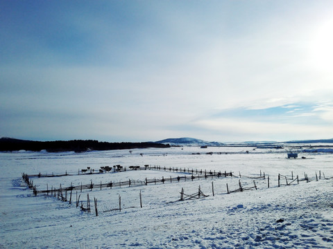 冬季草原牧场围圈