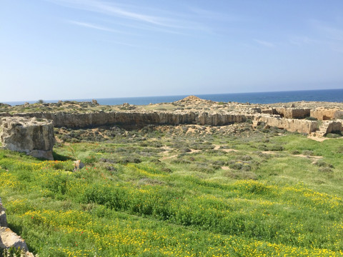 塞浦路斯草原