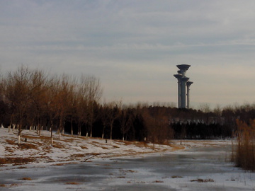 雪地里北京奥运会望天树瞭望塔