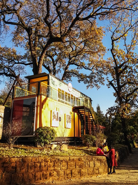 一家三口在树下小屋旁游戏