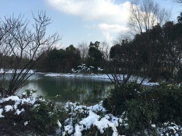 雪景