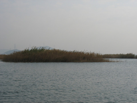 太湖湿地